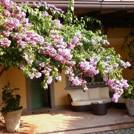 Вилла Deliziosa *